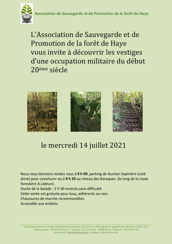 2021 découverte des vestiges militaires en forêt de haye