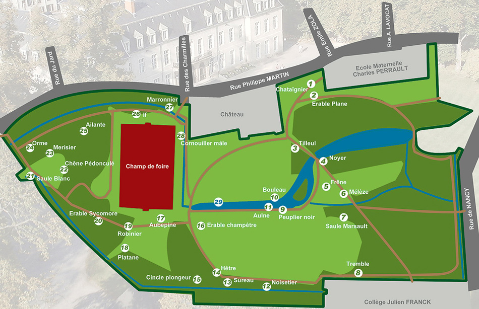 Plan arboricole du parc