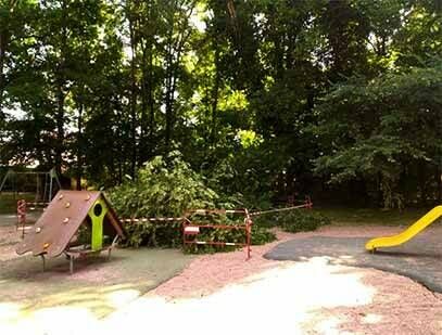 Risque de chute de branches : les aires de jeux du parc du Château fermées